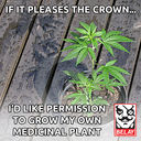 Filename=Pot.jpg
Filesize=206KiB
Dimensions=680x680
Date added=Dec 21, 2017 Pot.jpg